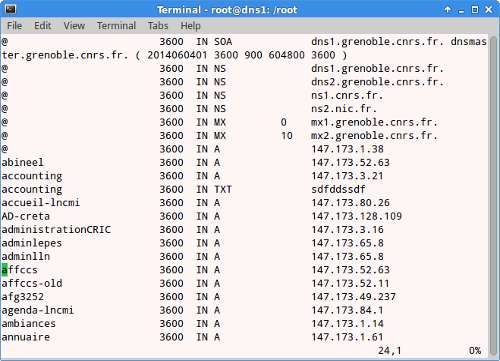 Zone Bind File snapshot